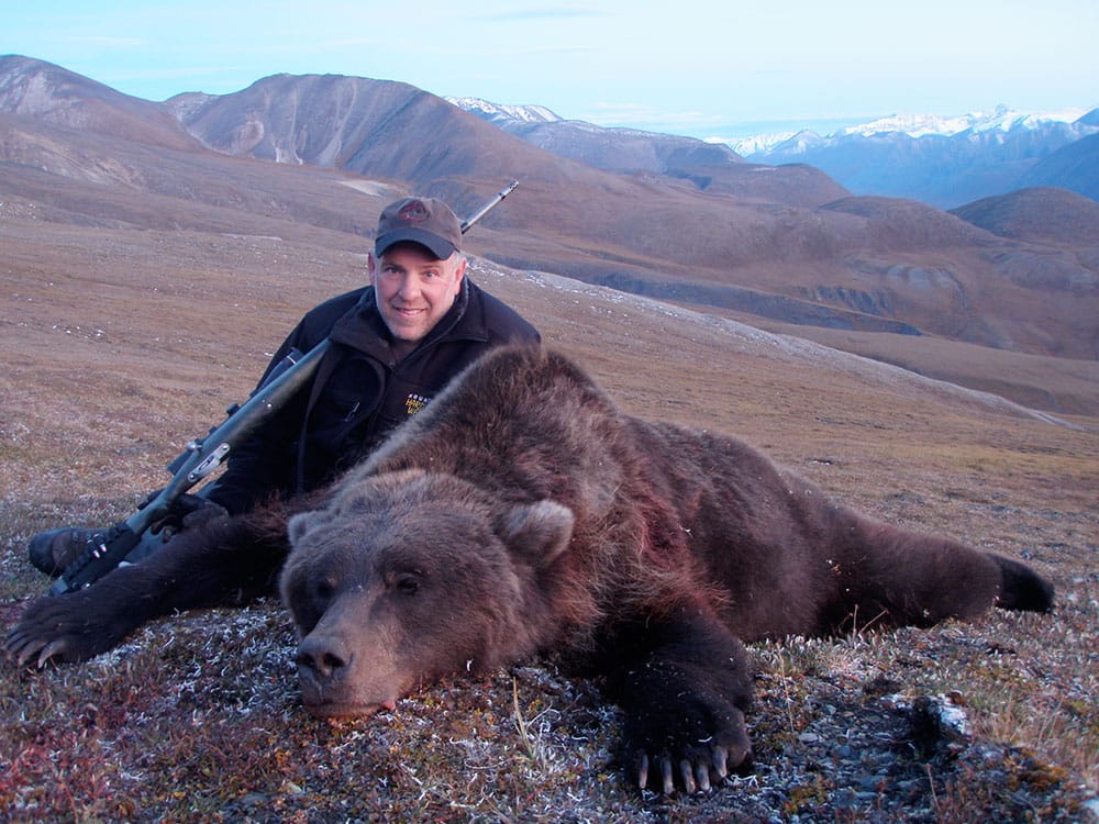 Alaska brown bear / Braunbaer