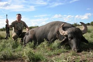 Argentina Buffalo / Argentinien Büffel