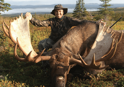 Alaska Moose / Elch