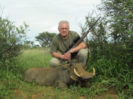 Namibia Warthog / Warzenschwein