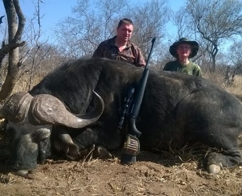 Southafrica Buffalo / Suedafrika Bueffel